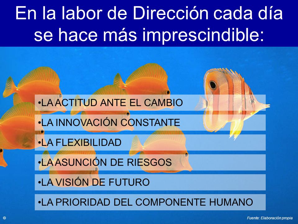 En la labor de Dirección cada día se hace más imprescindible: