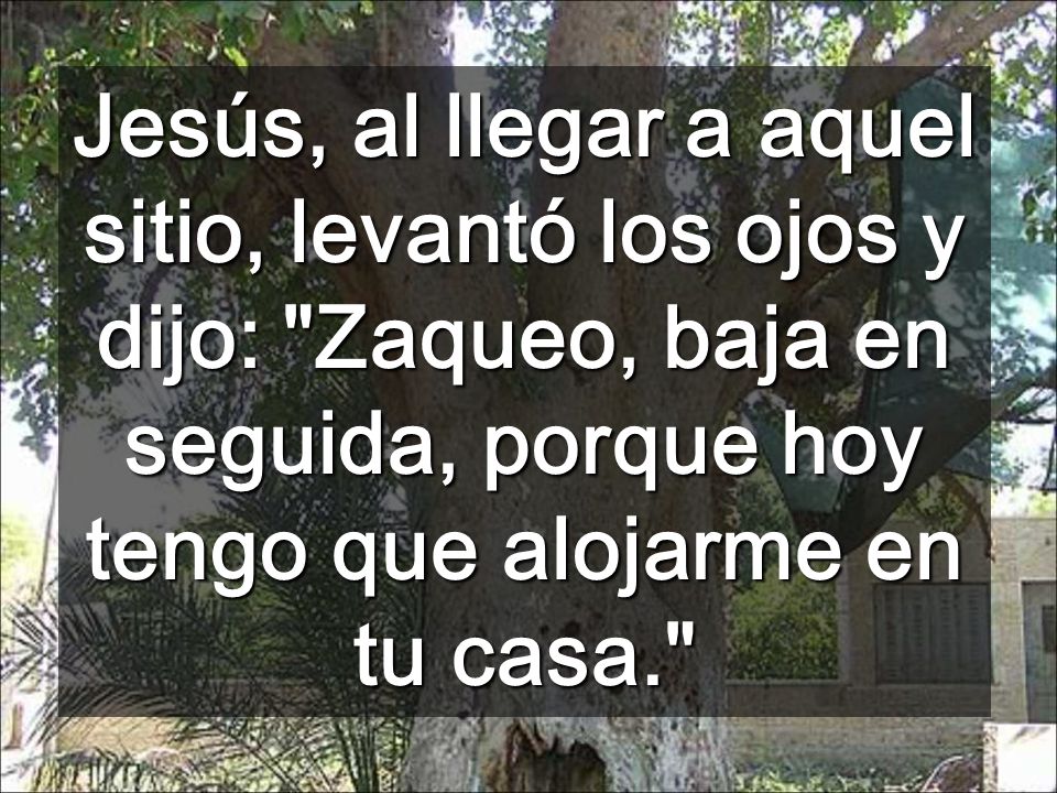 Jesús, al llegar a aquel sitio, levantó los ojos y dijo: Zaqueo, baja en seguida, porque hoy tengo que alojarme en tu casa.