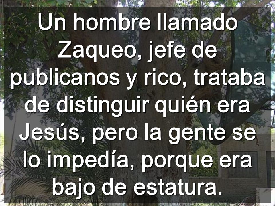 Un hombre llamado Zaqueo, jefe de publicanos y rico, trataba de distinguir quién era Jesús, pero la gente se lo impedía, porque era bajo de estatura.