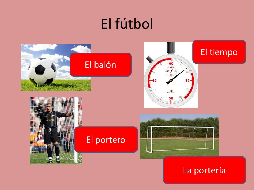 El fútbol El tiempo El balón El portero La portería