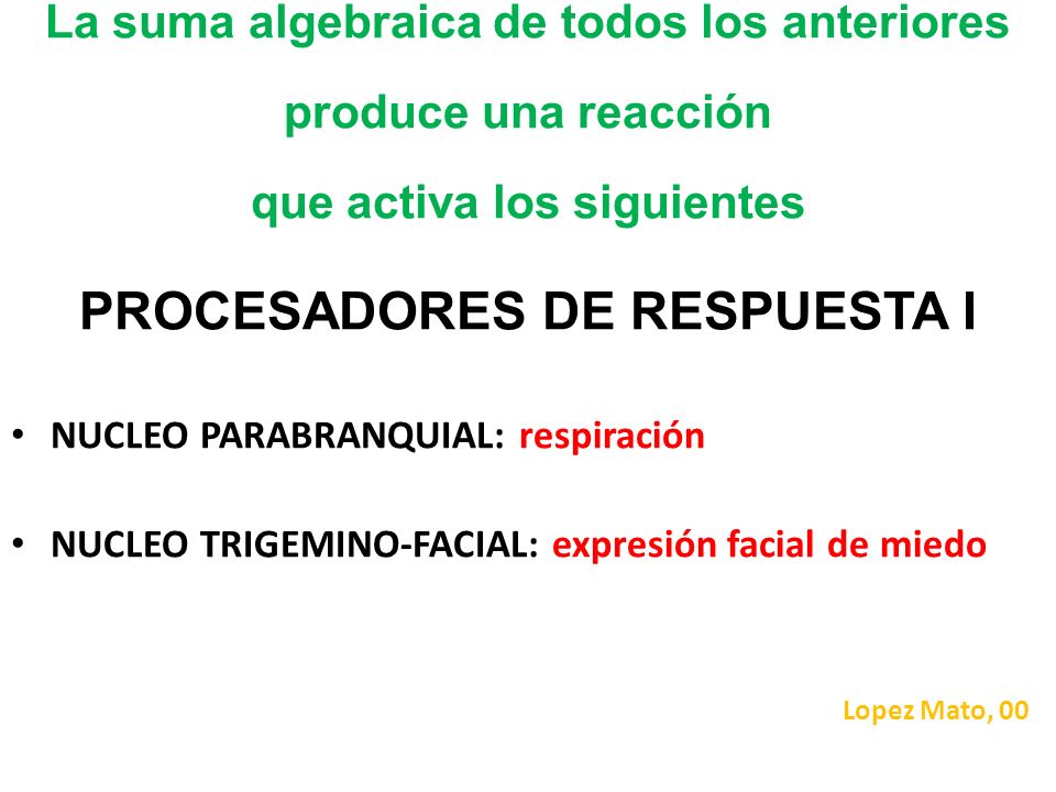 La suma algebraica de todos los anteriores produce una reacción que activa los siguientes PROCESADORES DE RESPUESTA I