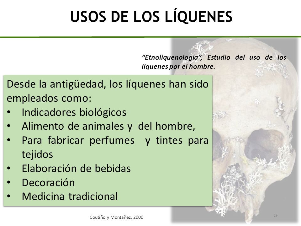 USOS DE LOS LÍQUENES Etnoliquenología , Estudio del uso de los líquenes por el hombre. Desde la antigüedad, los líquenes han sido empleados como: