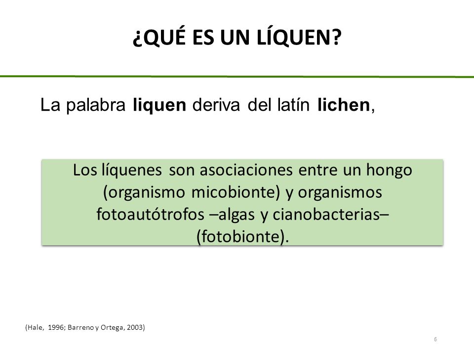 ¿QUÉ ES UN LÍQUEN La palabra liquen deriva del latín lichen,