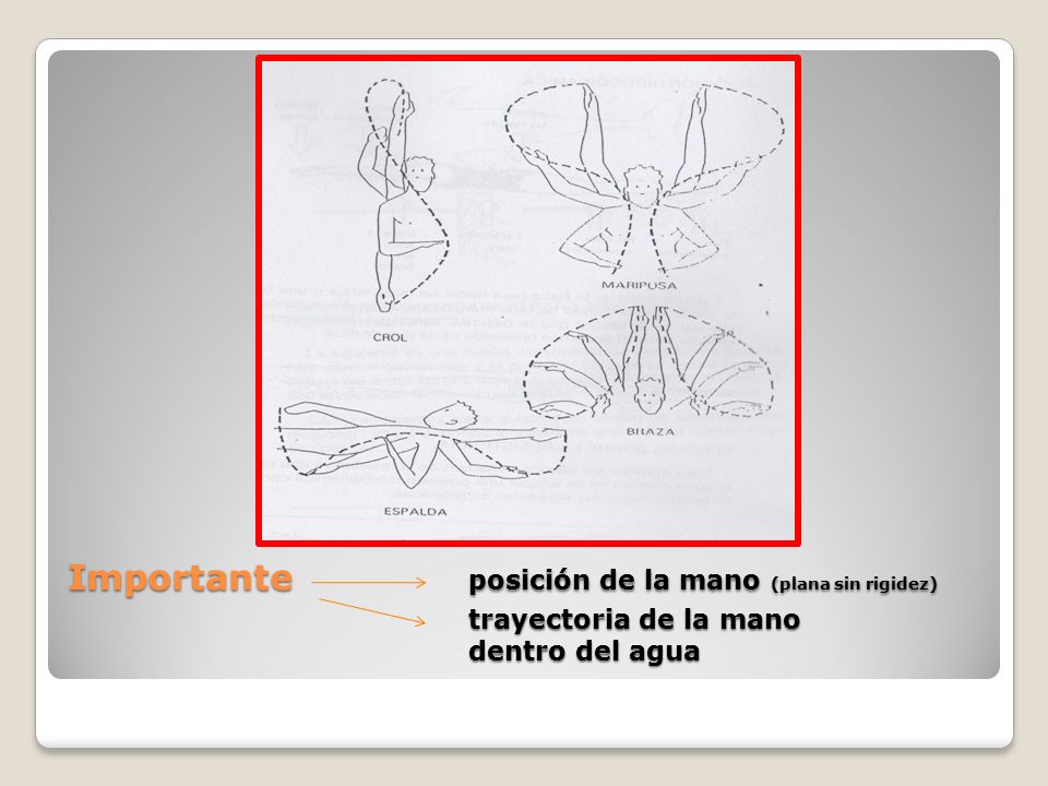 Importante posición de la mano (plana sin rigidez) trayectoria de la mano dentro del agua