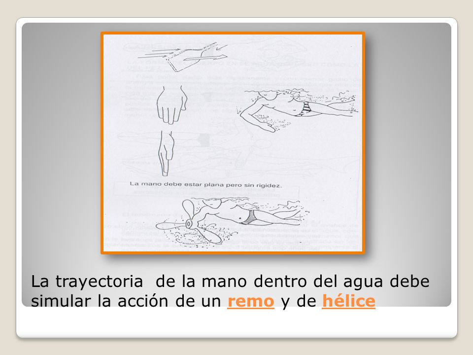 La trayectoria de la mano dentro del agua debe simular la acción de un remo y de hélice