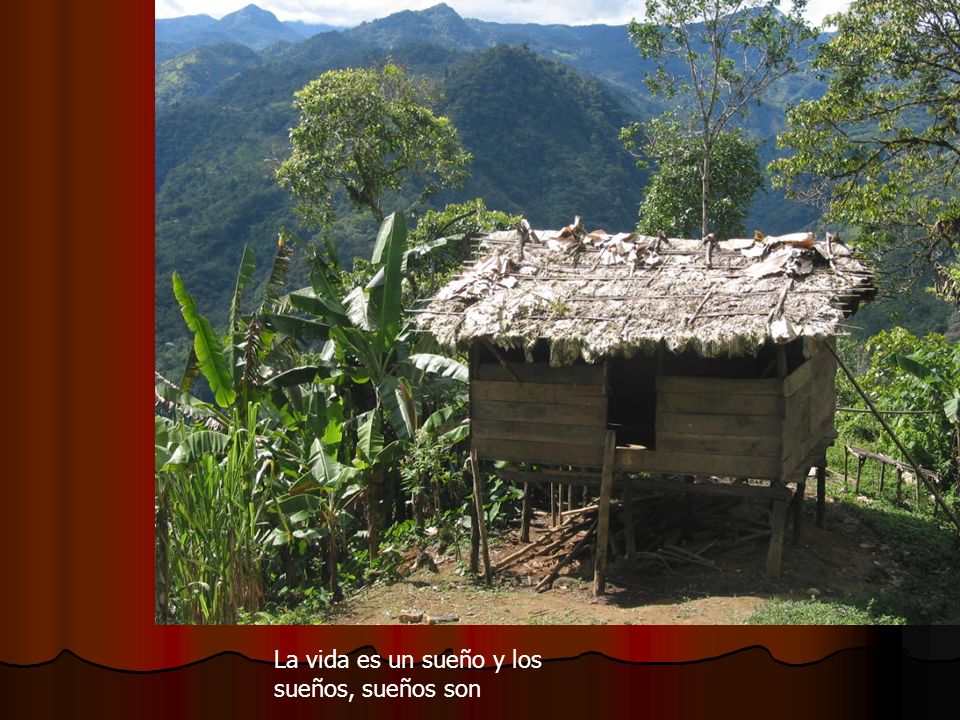 La vida es un sueño y los sueños, sueños son