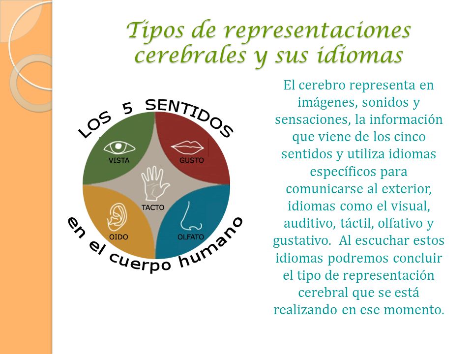 Tipos de representaciones cerebrales y sus idiomas