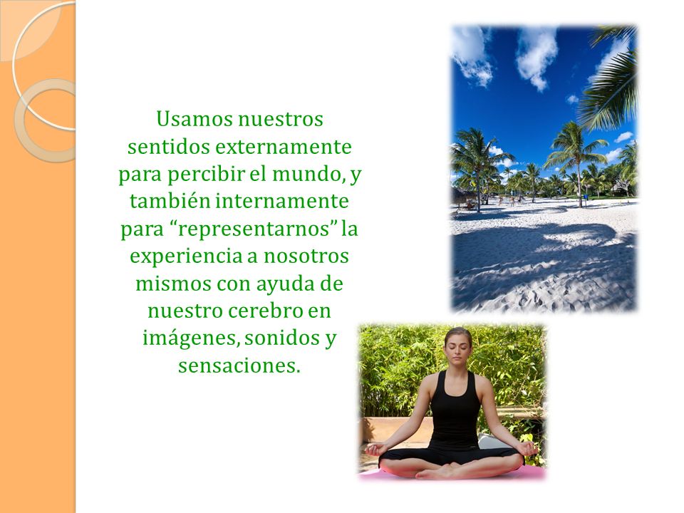 Usamos nuestros sentidos externamente para percibir el mundo, y también internamente para representarnos la experiencia a nosotros mismos con ayuda de nuestro cerebro en imágenes, sonidos y sensaciones.