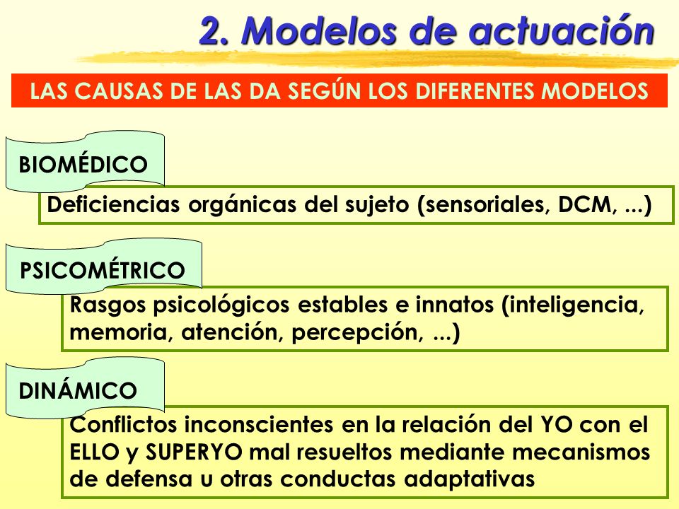 LAS CAUSAS DE LAS DA SEGÚN LOS DIFERENTES MODELOS