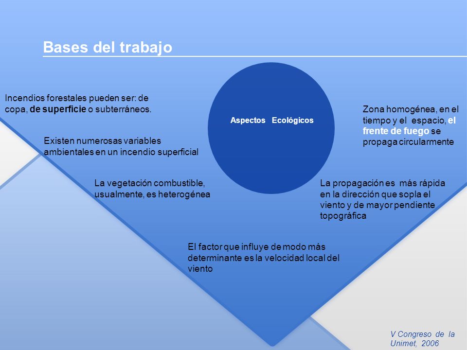 Bases del trabajo Incendios forestales pueden ser: de copa, de superficie o subterráneos.
