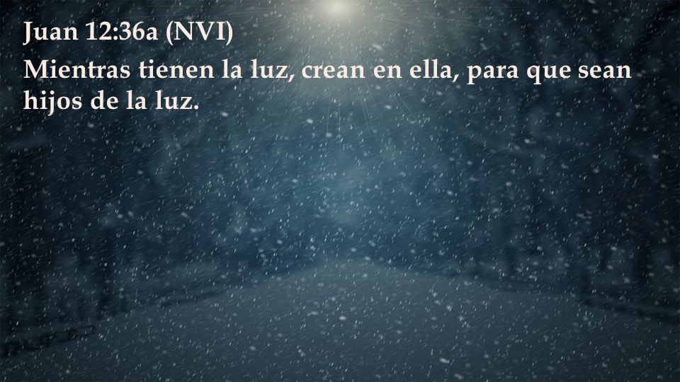 Juan 12:36a (NVI) Mientras tienen la luz, crean en ella, para que sean hijos de la luz.
