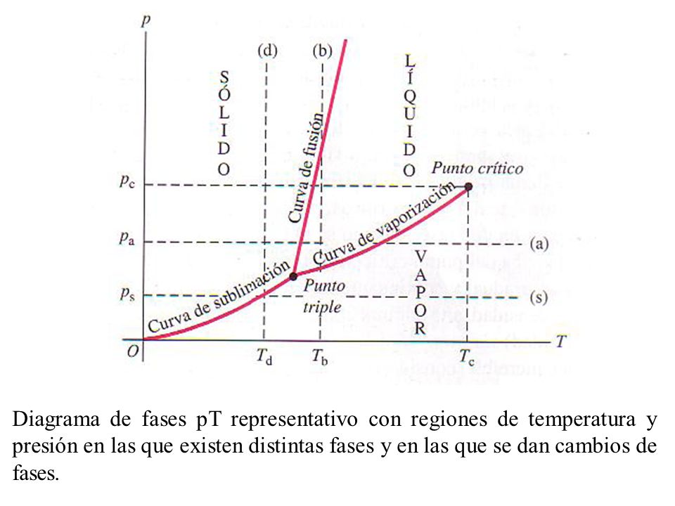 Diagrama de fases pT representativo con regiones de temperatura y presión en las que existen distintas fases y en las que se dan cambios de fases.