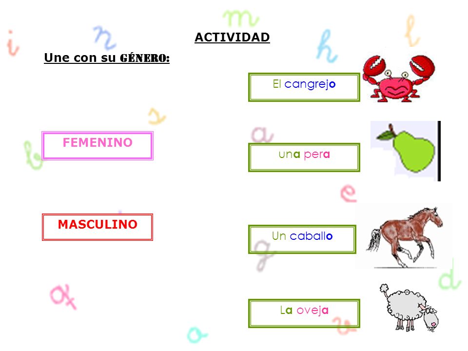 ACTIVIDAD Une con su Género: El cangrejo FEMENINO una pera MASCULINO Un caballo La oveja
