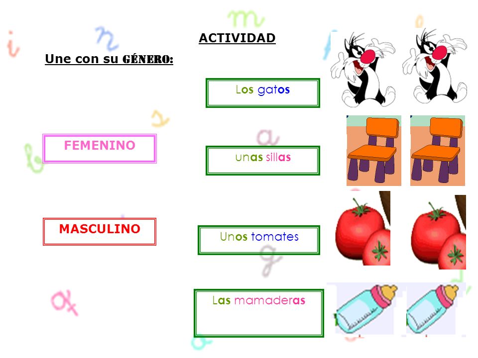 ACTIVIDAD Une con su Género: Los gatos FEMENINO unas sillas MASCULINO Unos tomates Las mamaderas