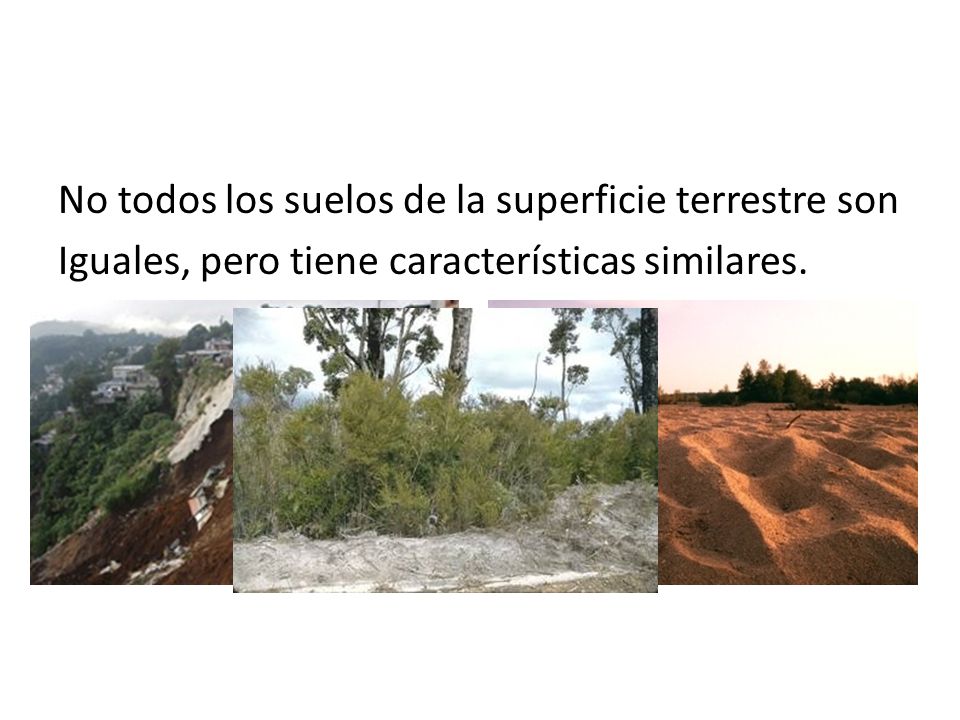 No todos los suelos de la superficie terrestre son Iguales, pero tiene características similares.