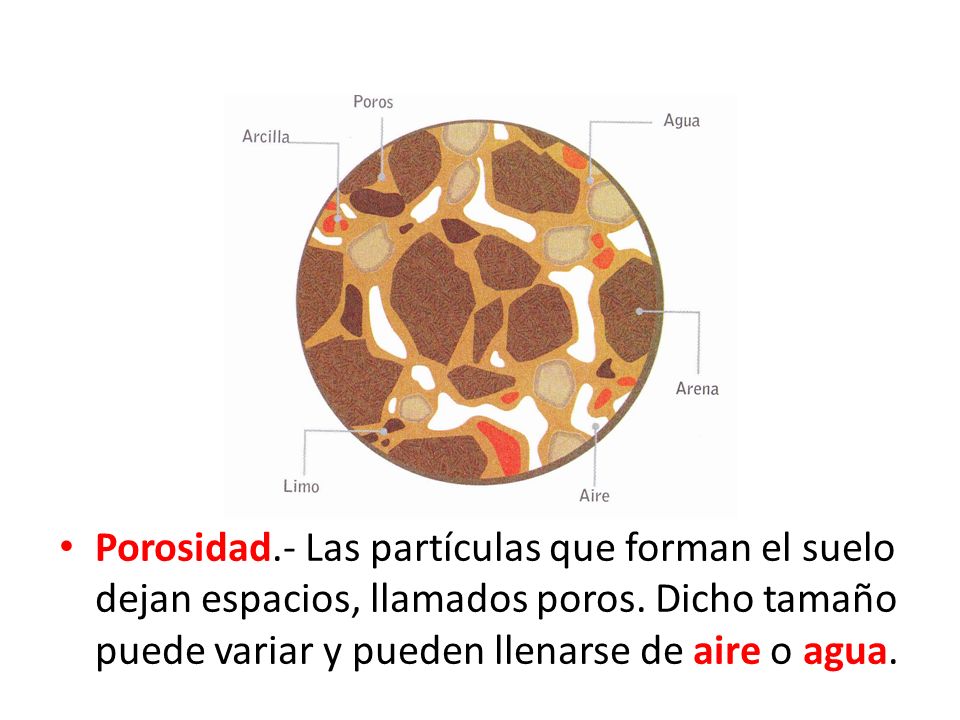 Porosidad.- Las partículas que forman el suelo dejan espacios, llamados poros.
