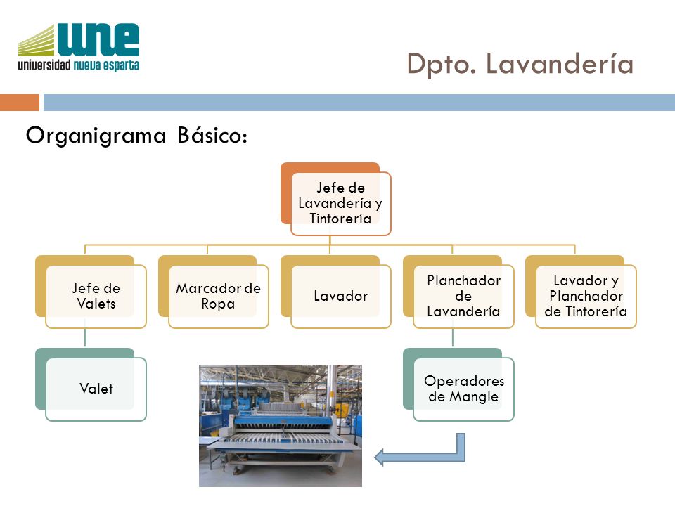 Dpto. Lavandería Organigrama Básico: Jefe de Lavandería y Tintorería