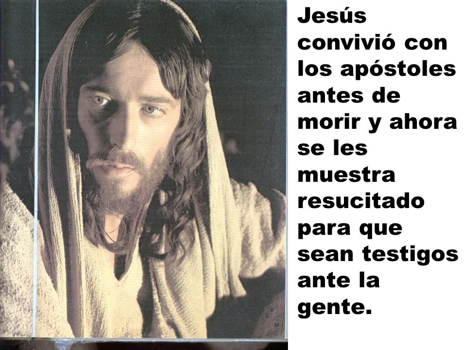 Jesús convivió con los apóstoles antes de morir y ahora se les muestra resucitado para que sean testigos ante la gente.