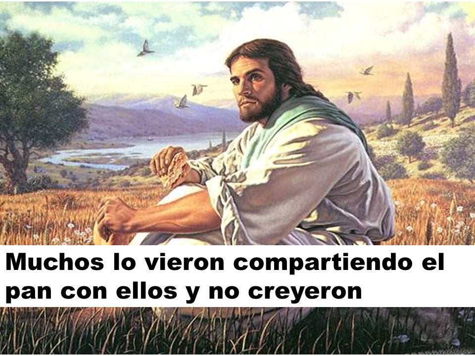 Muchos lo vieron compartiendo el pan con ellos y no creyeron