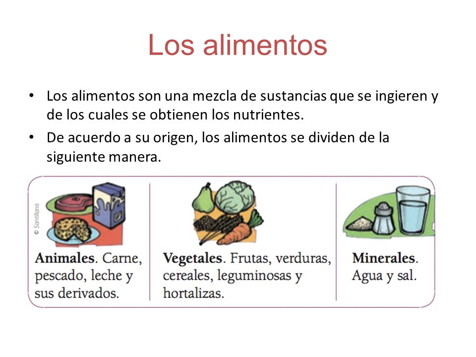 Los alimentos Los alimentos son una mezcla de sustancias que se ingieren y de los cuales se obtienen los nutrientes.