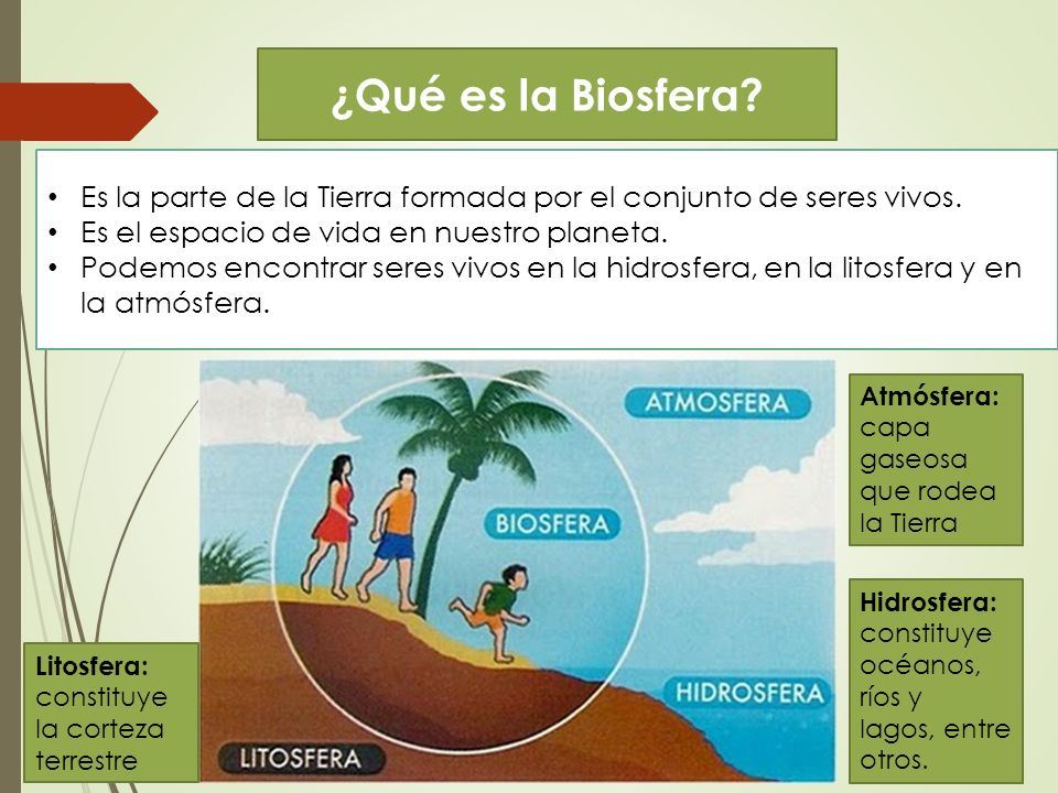 ¿Qué es la Biosfera Es la parte de la Tierra formada por el conjunto de seres vivos. Es el espacio de vida en nuestro planeta.