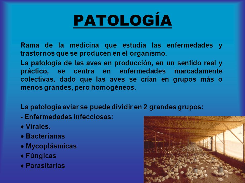 PATOLOGÍA Rama de la medicina que estudia las enfermedades y trastornos que se producen en el organismo.