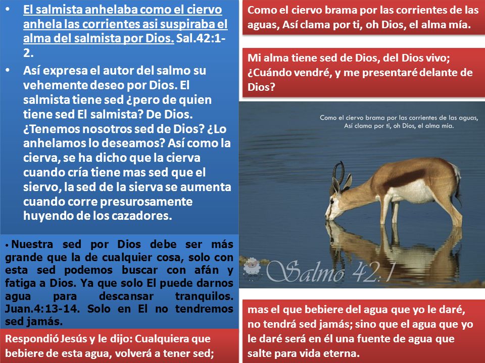 El salmista anhelaba como el ciervo anhela las corrientes asi suspiraba el alma del salmista por Dios. Sal.42:1-2.