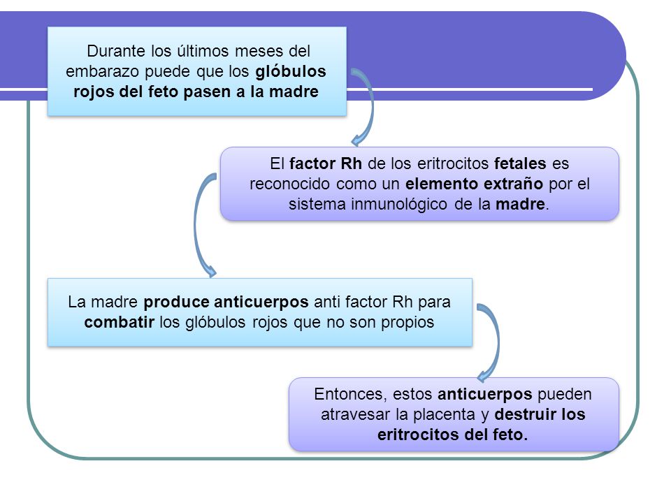 Durante los últimos meses del embarazo puede que los glóbulos rojos del feto pasen a la madre