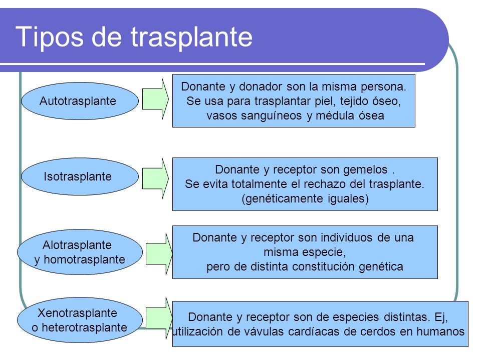 Tipos de trasplante Donante y donador son la misma persona.