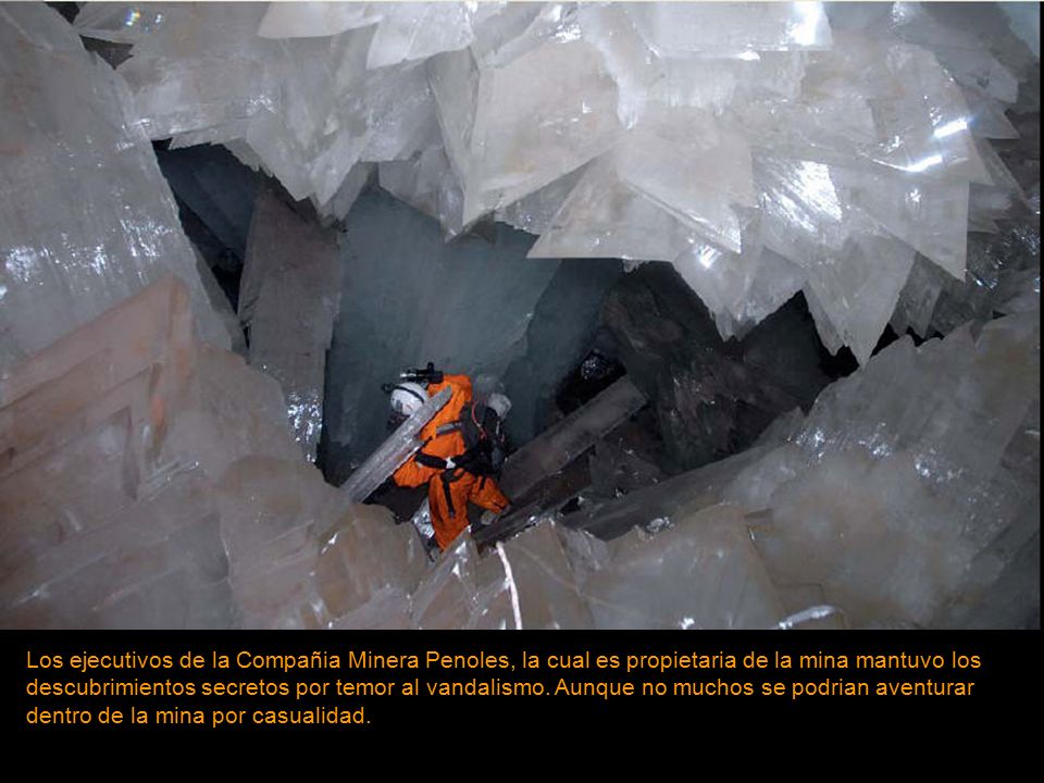 Los ejecutivos de la Compañia Minera Penoles, la cual es propietaria de la mina mantuvo los descubrimientos secretos por temor al vandalismo.