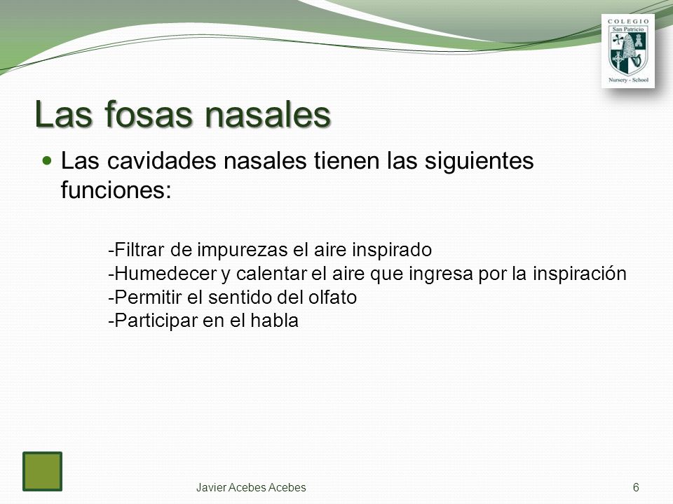 Las fosas nasales Las cavidades nasales tienen las siguientes funciones: