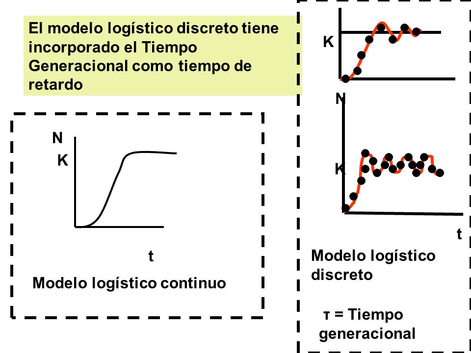 El modelo logístico discreto tiene incorporado el Tiempo Generacional como tiempo de retardo