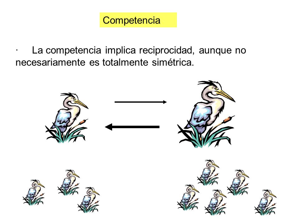 Competencia · La competencia implica reciprocidad, aunque no necesariamente es totalmente simétrica.
