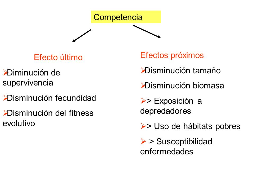 Competencia Efectos próximos. Disminución tamaño. Disminución biomasa. > Exposición a depredadores.