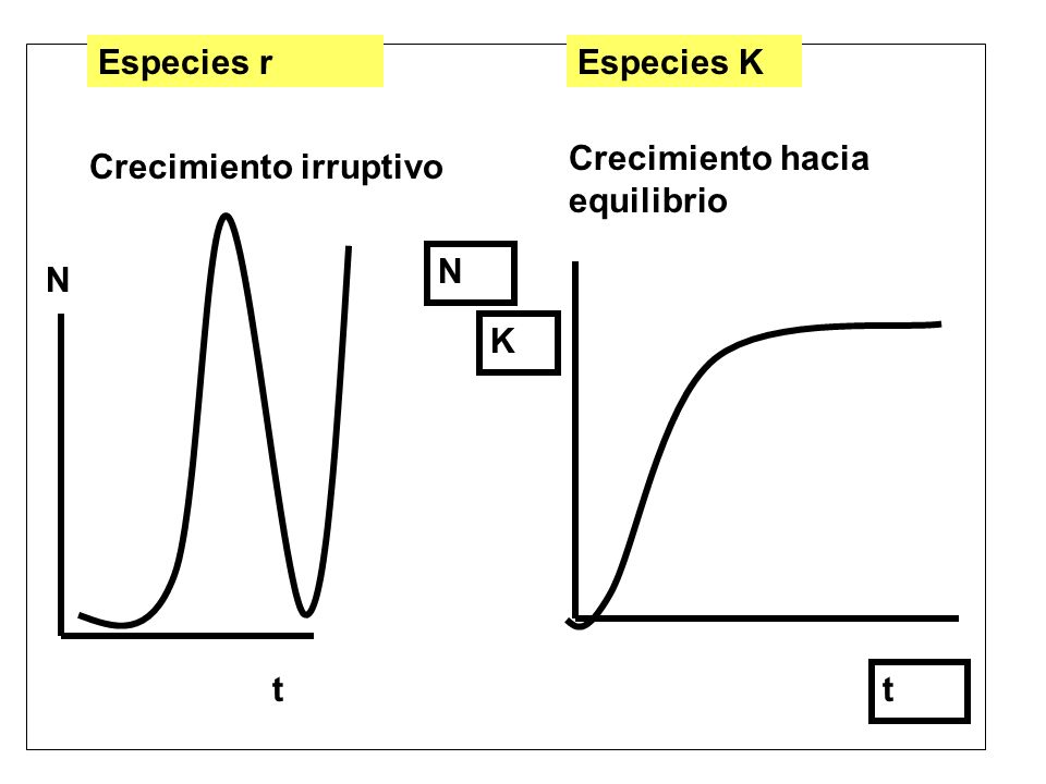Especies r Especies K Crecimiento hacia equilibrio Crecimiento irruptivo N t K N t