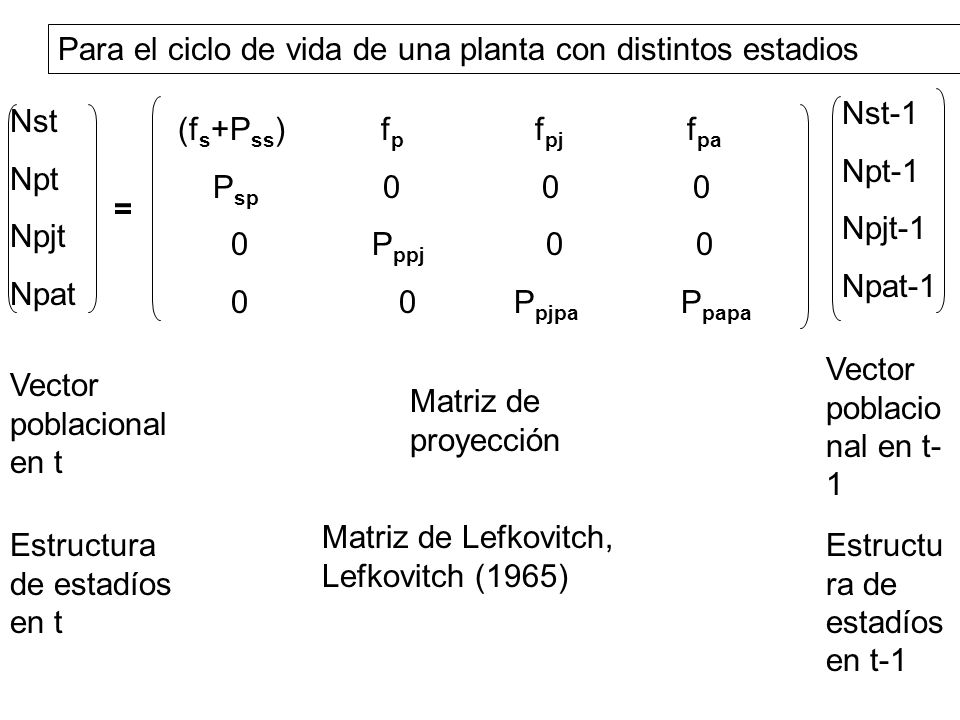 Para el ciclo de vida de una planta con distintos estadios