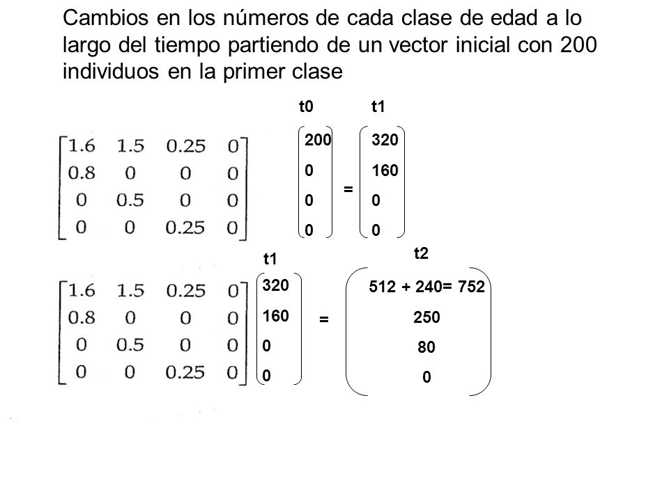 Cambios en los números de cada clase de edad a lo largo del tiempo partiendo de un vector inicial con 200 individuos en la primer clase