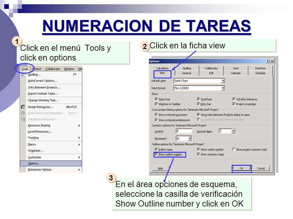 NUMERACION DE TAREAS Click en la ficha view