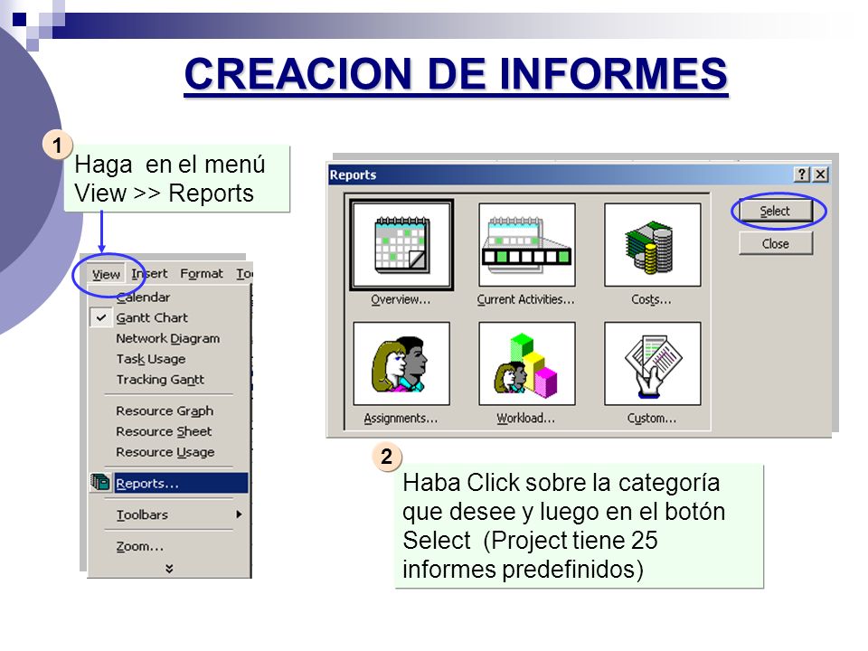 CREACION DE INFORMES Haga en el menú View >> Reports
