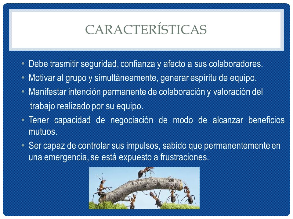 características Debe trasmitir seguridad, confianza y afecto a sus colaboradores. Motivar al grupo y simultáneamente, generar espíritu de equipo.