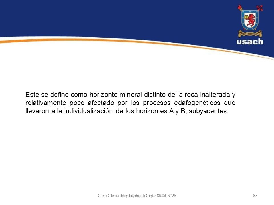 Este se define como horizonte mineral distinto de la roca inalterada y relativamente poco afectado por los procesos edafogenéticos que llevaron a la individualización de los horizontes A y B, subyacentes.