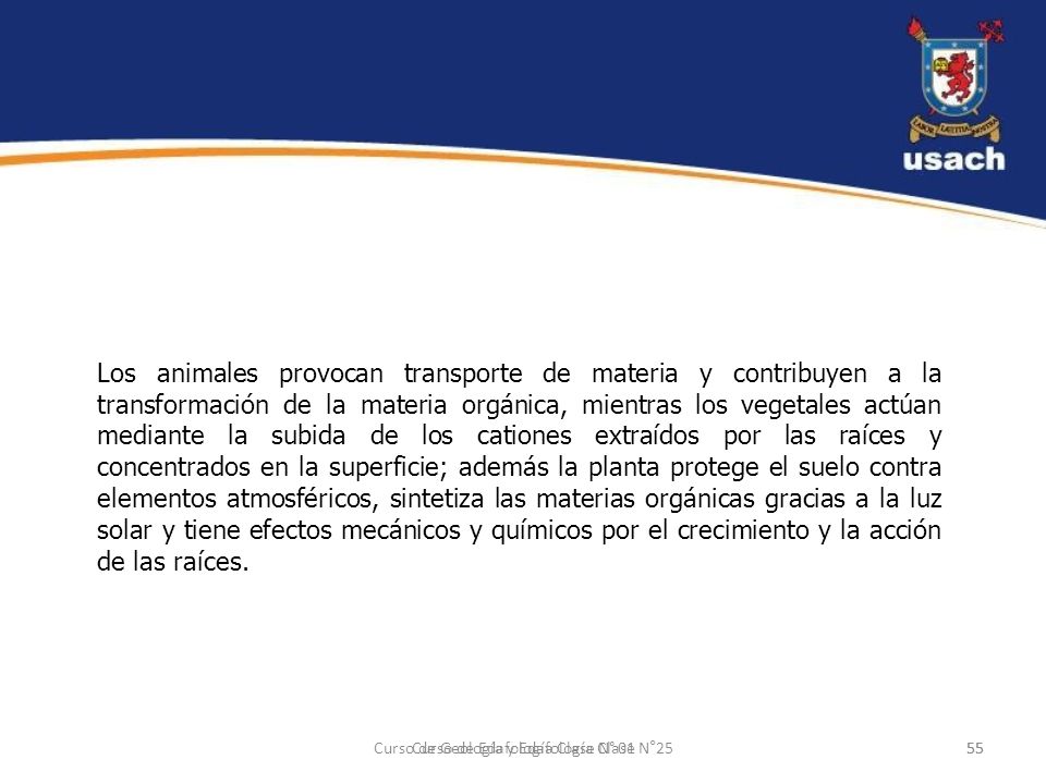 Los animales provocan transporte de materia y contribuyen a la transformación de la materia orgánica, mientras los vegetales actúan mediante la subida de los cationes extraídos por las raíces y concentrados en la superficie; además la planta protege el suelo contra elementos atmosféricos, sintetiza las materias orgánicas gracias a la luz solar y tiene efectos mecánicos y químicos por el crecimiento y la acción de las raíces.