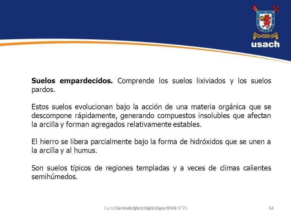 Suelos empardecidos. Comprende los suelos lixiviados y los suelos pardos.