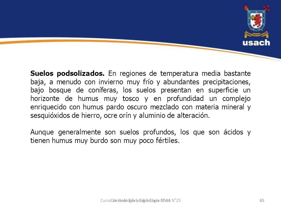 Suelos podsolizados. En regiones de temperatura media bastante baja, a menudo con invierno muy frío y abundantes precipitaciones, bajo bosque de coníferas, los suelos presentan en superficie un horizonte de humus muy tosco y en profundidad un complejo enriquecido con humus pardo oscuro mezclado con materia mineral y sesquióxidos de hierro, ocre orín y aluminio de alteración.