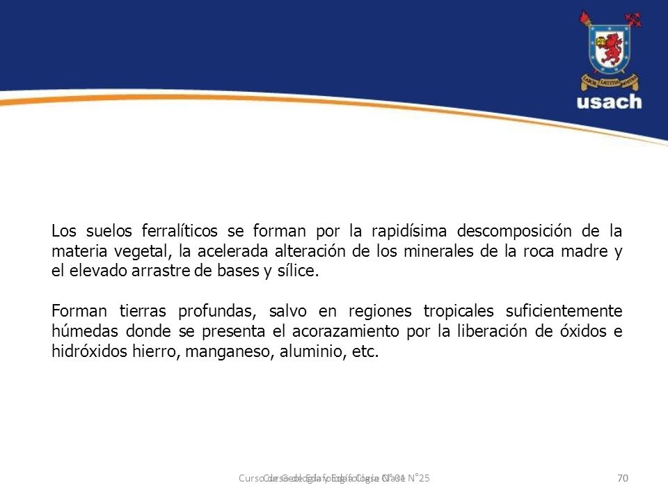 Los suelos ferralíticos se forman por la rapidísima descomposición de la materia vegetal, la acelerada alteración de los minerales de la roca madre y el elevado arrastre de bases y sílice.