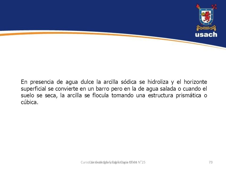 En presencia de agua dulce la arcilla sódica se hidroliza y el horizonte superficial se convierte en un barro pero en la de agua salada o cuando el suelo se seca, la arcilla se flocula tomando una estructura prismática o cúbica.