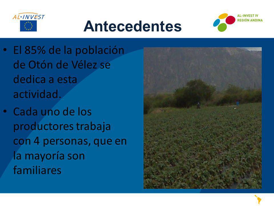 Antecedentes El 85% de la población de Otón de Vélez se dedica a esta actividad.