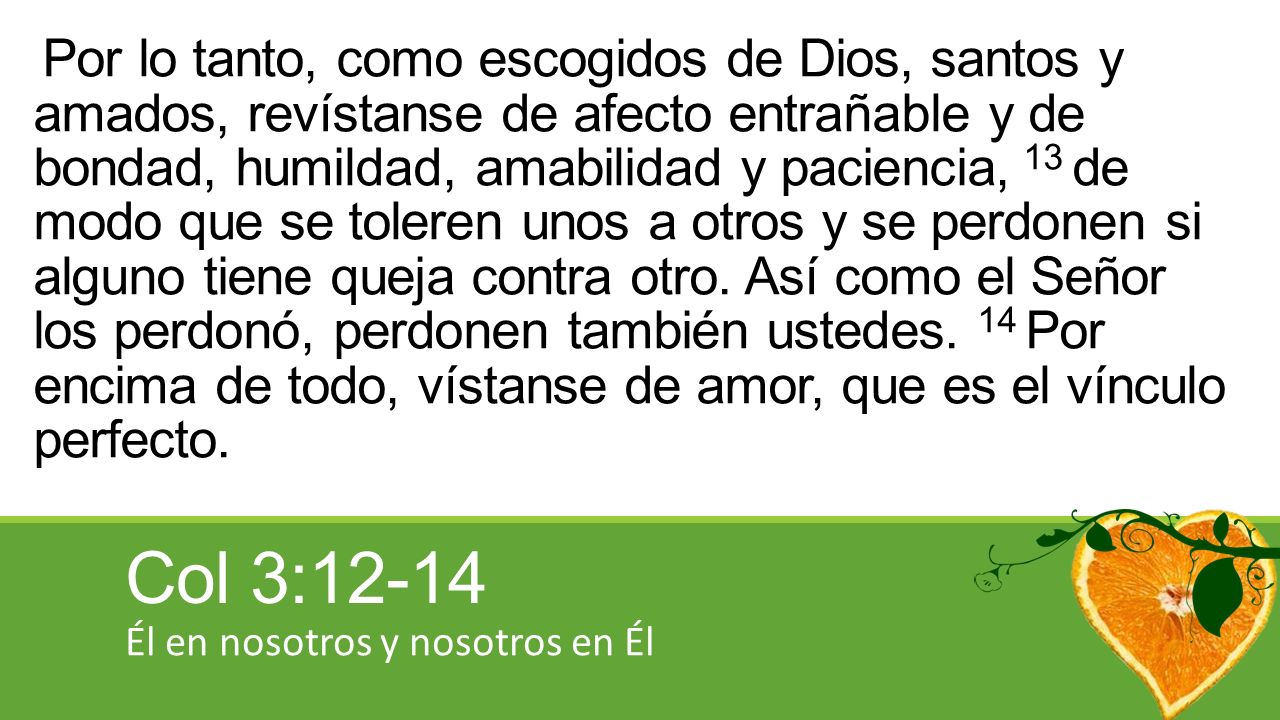 Por lo tanto, como escogidos de Dios, santos y amados, revístanse de afecto entrañable y de bondad, humildad, amabilidad y paciencia, 13 de modo que se toleren unos a otros y se perdonen si alguno tiene queja contra otro. Así como el Señor los perdonó, perdonen también ustedes. 14 Por encima de todo, vístanse de amor, que es el vínculo perfecto.