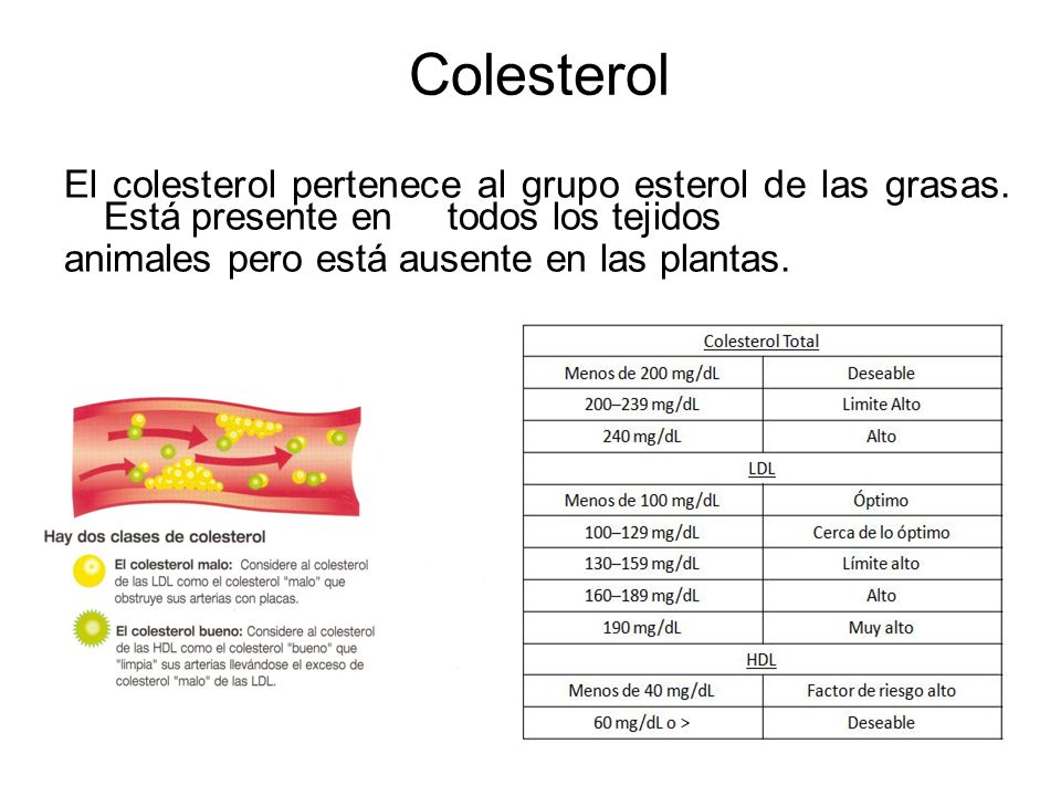 Colesterol El colesterol pertenece al grupo esterol de las grasas.