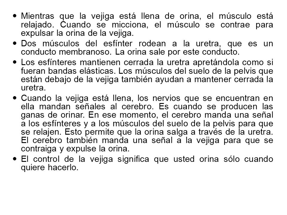 Mientras que la vejiga está llena de orina, el músculo está relajado